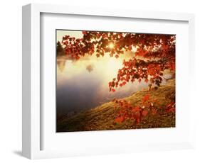 Sunrise Through Autumn Leaves-Joseph Sohm-Framed Photographic Print