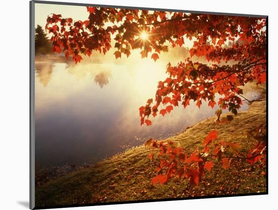 Sunrise Through Autumn Leaves-Joseph Sohm-Mounted Photographic Print