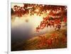 Sunrise Through Autumn Leaves-Joseph Sohm-Framed Photographic Print