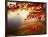 Sunrise Through Autumn Leaves-Joseph Sohm-Framed Photographic Print