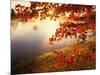 Sunrise Through Autumn Leaves-Joseph Sohm-Mounted Photographic Print
