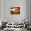 Sunrise Through Autumn Leaves-Joseph Sohm-Stretched Canvas displayed on a wall