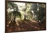 Sunrise Through Fog and Trees-Craig Tuttle-Framed Photographic Print