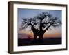 Sunrise Through Hole Made in Baobab Tree by an Elephant in Ruaha National Park of Southern Tanzania-Nigel Pavitt-Framed Photographic Print