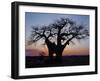 Sunrise Through Hole Made in Baobab Tree by an Elephant in Ruaha National Park of Southern Tanzania-Nigel Pavitt-Framed Photographic Print