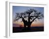 Sunrise Through Hole Made in Baobab Tree by an Elephant in Ruaha National Park of Southern Tanzania-Nigel Pavitt-Framed Photographic Print