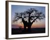 Sunrise Through Hole Made in Baobab Tree by an Elephant in Ruaha National Park of Southern Tanzania-Nigel Pavitt-Framed Photographic Print