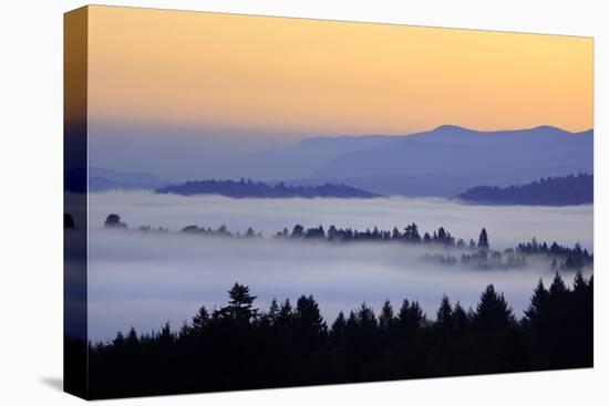 Sunrise through Morning Fog Adds Beauty to Happy Valley, Oregon, Pacific Northwest-Craig Tuttle-Stretched Canvas