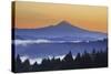 Sunrise through Morning Fog Adds Beauty to Happy Valley, Oregon, Pacific Northwest-Craig Tuttle-Stretched Canvas