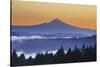 Sunrise through Morning Fog Adds Beauty to Happy Valley, Oregon, Pacific Northwest-Craig Tuttle-Stretched Canvas