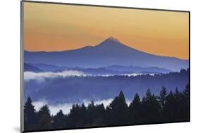 Sunrise through Morning Fog Adds Beauty to Happy Valley, Oregon, Pacific Northwest-Craig Tuttle-Mounted Photographic Print