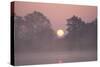 Sunrise Through Trees on Edge of Broad-null-Stretched Canvas