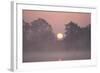 Sunrise Through Trees on Edge of Broad-null-Framed Photographic Print