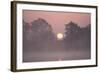 Sunrise Through Trees on Edge of Broad-null-Framed Photographic Print