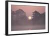 Sunrise Through Trees on Edge of Broad-null-Framed Photographic Print