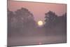 Sunrise Through Trees on Edge of Broad-null-Mounted Photographic Print