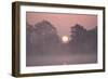 Sunrise Through Trees on Edge of Broad-null-Framed Photographic Print