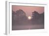 Sunrise Through Trees on Edge of Broad-null-Framed Photographic Print
