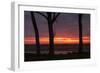 Sunrise Tree Design at Ogunquit, Maine Coast-Vincent James-Framed Photographic Print