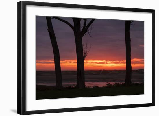 Sunrise Tree Design at Ogunquit, Maine Coast-Vincent James-Framed Photographic Print