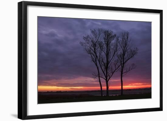 Sunrise Trees at Ogunquit, Maine Coast-Vincent James-Framed Photographic Print