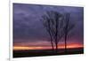 Sunrise Trees at Ogunquit, Maine Coast-Vincent James-Framed Photographic Print