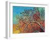 Sunrise Treetop Birds I-Carolee Vitaletti-Framed Art Print