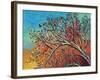 Sunrise Treetop Birds I-Carolee Vitaletti-Framed Art Print