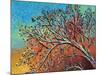 Sunrise Treetop Birds I-Carolee Vitaletti-Mounted Art Print