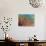 Sunrise Treetop Birds II-Carolee Vitaletti-Art Print displayed on a wall