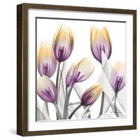 Sunrise Tulips 1-Albert Koetsier-Framed Art Print