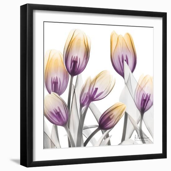 Sunrise Tulips 1-Albert Koetsier-Framed Art Print