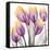 Sunrise Tulips 2-Albert Koetsier-Framed Stretched Canvas