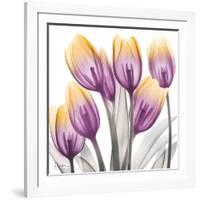 Sunrise Tulips 2-Albert Koetsier-Framed Art Print