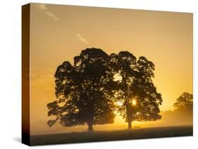 Sunrise, Usk Valley, South Wales, UK-Peter Adams-Stretched Canvas