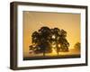 Sunrise, Usk Valley, South Wales, UK-Peter Adams-Framed Photographic Print