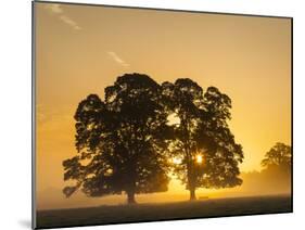 Sunrise, Usk Valley, South Wales, UK-Peter Adams-Mounted Photographic Print