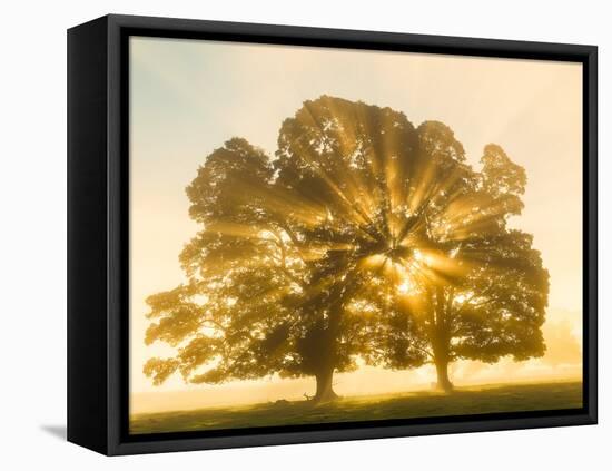 Sunrise, Usk Valley, South Wales, UK-Peter Adams-Framed Stretched Canvas
