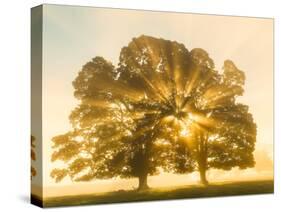 Sunrise, Usk Valley, South Wales, UK-Peter Adams-Stretched Canvas