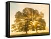 Sunrise, Usk Valley, South Wales, UK-Peter Adams-Framed Stretched Canvas