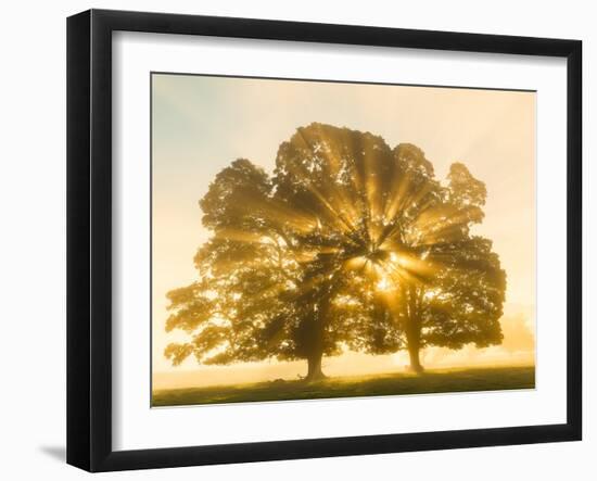 Sunrise, Usk Valley, South Wales, UK-Peter Adams-Framed Premium Photographic Print