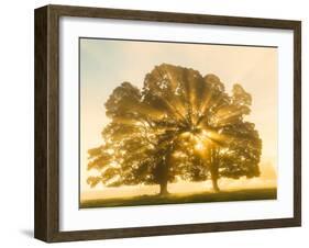 Sunrise, Usk Valley, South Wales, UK-Peter Adams-Framed Photographic Print