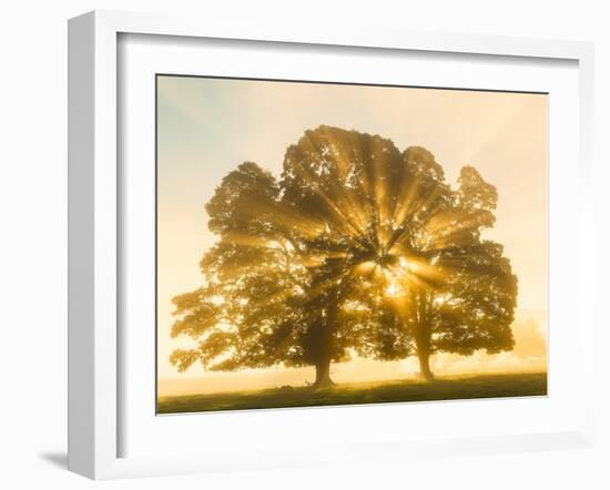 Sunrise, Usk Valley, South Wales, UK-Peter Adams-Framed Photographic Print