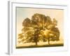 Sunrise, Usk Valley, South Wales, UK-Peter Adams-Framed Photographic Print