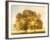 Sunrise, Usk Valley, South Wales, UK-Peter Adams-Framed Photographic Print