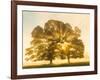 Sunrise, Usk Valley, South Wales, UK-Peter Adams-Framed Photographic Print