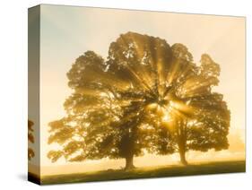 Sunrise, Usk Valley, South Wales, UK-Peter Adams-Stretched Canvas