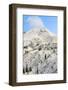 Sunrise view of Mt. Hood near Timberline Lodge, Lolo Pass, Mt. Hood Wilderness Area, Oregon, USA-Stuart Westmorland-Framed Photographic Print