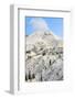 Sunrise view of Mt. Hood near Timberline Lodge, Lolo Pass, Mt. Hood Wilderness Area, Oregon, USA-Stuart Westmorland-Framed Photographic Print