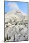 Sunrise view of Mt. Hood near Timberline Lodge, Lolo Pass, Mt. Hood Wilderness Area, Oregon, USA-Stuart Westmorland-Mounted Photographic Print